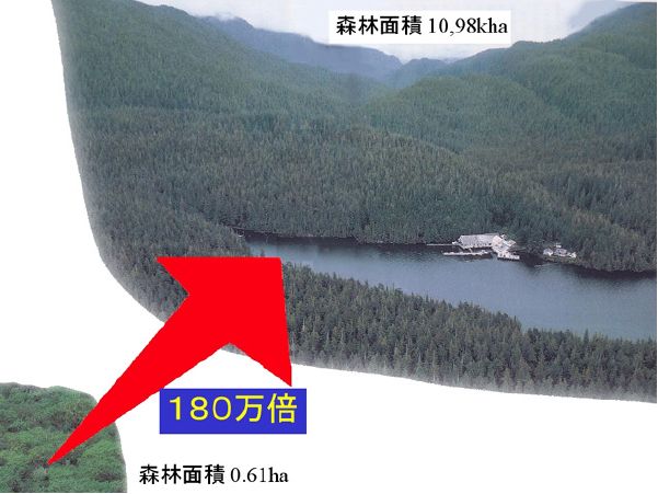 環境効果704