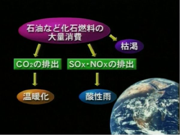 環境効果705