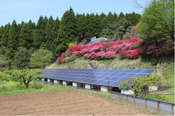 野立で全量買取太陽光発電(産業用) 1